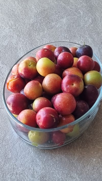 A clear glass bowl is filled with a variety of plums. The plums are mostly red and purplish-red, with some having yellow or green undertones. One plum at the top right is a deep, dark purple with a short green stem. The bowl is positioned on a speckled gray surface, likely a countertop or table. The background is a blurred gray texture, suggesting an indoor setting. The lighting appears to be natural, coming from the left, casting subtle shadows. The image is a close-up shot, focusing on the plums and the bowl, with the background out of focus. There are no people or animals visible in the image. The scene is static and still.