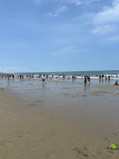 This image depicts a wide-angle view of a crowded beach in General Villamil Playas, Ecuador, under a clear blue sky with scattered white clouds. The scene is dominated by a large expanse of brown sand, which is visibly wet and reflective closer to the water's edge, transitioning to drier sand in the foreground. Hundreds of individuals, dressed in various beach attire, are distributed across the wet sand and immersed in the blue-green ocean. The majority of the people are wading or swimming in the moderate waves, extending far into the background.
In the mid-ground, on the wet sand, a person wearing a white shirt and dark shorts stands near a yellow ball. Another individual in darker clothing is visible further to the right, closer to the water. Towards the lower right corner of the foreground, on the drier sand, a distinct green and yellow woven circular object is present. In the distant ocean, a small watercraft can be identified. The primary actions observed are walking, standing, wading, and swimming within the water and along the shoreline. The overall impression is that of a popular beach venue experiencing significant visitor activity during daylight hours.