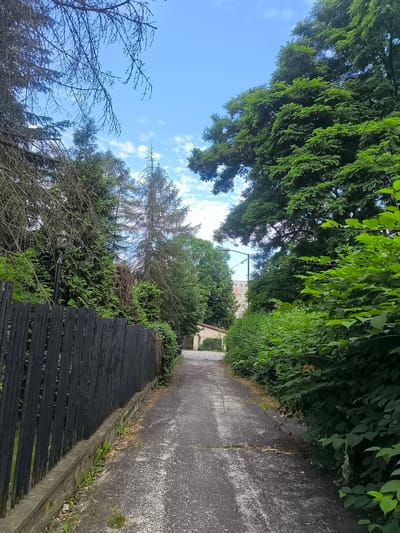 A narrow asphalt pathway leads into the distance, flanked by a dark, vertical wooden fence on the left and dense green foliage on the right. The pathway appears to be in a residential or park area, with trees and vegetation dominating the scene. The sky above is a clear blue with scattered white clouds. In the distance, a building with multiple floors is visible through a gap in the trees. A lamppost stands near the fence on the left side of the path. The overall impression is one of a natural, slightly overgrown path in an urban setting.