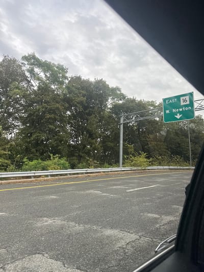 The image presents a static roadside scene observed from the interior of a vehicle under an overcast sky. The foreground features an asphalt roadway exhibiting extensive surface cracking and wear. A solid yellow line runs along the left edge of the visible pavement, with a dashed white line further to the right. Parallel to the road, a silver metal guardrail extends horizontally, positioned between the asphalt and a dense barrier of green foliage, consisting of trees and shrubs. Above the treeline and to the right, a prominent green highway sign, supported by a metal gantry structure with a visible vertical post, displays "EAST 16" at the top and "W. Newton" with a downward arrow below, directing traffic to West Newton, located in the city of Newton, United States. The sky above is entirely covered with uniform light grey clouds. No individuals, other vehicles, or active events are present in the frame.