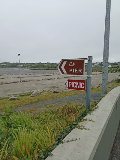 The image captures a directional signpost in Annagry West, Ireland, set against a backdrop of a cloudy sky and a coastal landscape. The signpost, made of metal and mounted on a pole, displays two signs. The upper sign, in a dark brown color with white lettering, points left and reads "Cé PIER". The lower sign, in red with white lettering, also points left and reads "PICNIC".

In the background, a body of water, likely the sea, is visible, with a shoreline that appears to be a beach or a tidal area. Beyond the water, a gently sloping green hill is dotted with houses, suggesting a small coastal community. A street lamp with an angular, bird-like fixture stands to the left of the signs, closer to the foreground. The ground in front of the signs is a gravelly area, possibly a parking lot, with rows of stones delineating sections. Lush green vegetation, including tall grass and ivy, grows along the edge of a concrete wall in the foreground, partially obscuring the lower portion of the scene. The overall atmosphere is overcast and somewhat muted, typical of Irish coastal weather. There are no people or animals visible in the frame.