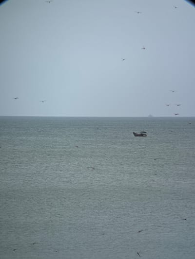 The image shows a wide shot of the sea, with a small fishing boat in the middle distance. The sky is overcast, and there are several birds flying in the distance. The water is choppy, and there is a faint horizon line visible. The scene appears to be taking place in the city of Dong Ninh Hoa, Vietnam.