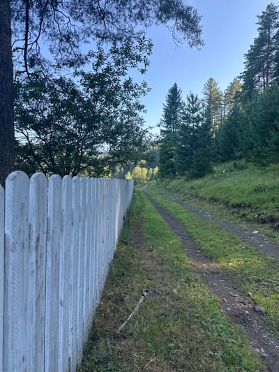 The image depicts a dirt road bordered by a white picket fence on the left and a grassy hillside dotted with pine trees on the right. The road curves into the distance, disappearing among the trees. Sunlight filters through the foliage, casting shadows on the road and grass. The sky above is clear and blue. The scene is likely in a rural or natural setting, possibly on the outskirts of Kebezen, Russia, given the presence of pine trees and a rustic road.