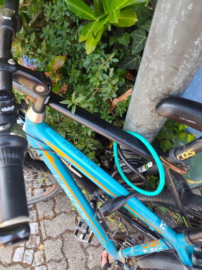 This is a medium-angle shot of a turquoise bicycle locked to a grey pole. The bicycle is leaning against the pole, with its front wheel visible in the lower left portion of the image. The handlebars and front brake lever are prominent in the foreground, with a "chirp" bell attached to the left handlebar. The bicycle frame has orange accents and the text "021 FLEXX" is visible on the downtube. A bright green U-lock secures the bicycle to the pole.

The scene is outdoors, with lush green foliage and some blue berries visible behind the bicycle. The ground appears to be paved with interlocking stones. The lighting suggests it is daytime, possibly late afternoon, with dappled sunlight filtering through the leaves. The overall setting seems to be a park or a residential area in Altrip, Germany.

The image does not explicitly show any people engaged in an activity, but a human foot in a sandal is visible in the lower right corner, suggesting someone may have just parked or is about to retrieve the bicycle. The presence of the lock indicates the bicycle is currently secured and not in use. There are no strong emotional cues conveyed by the image.