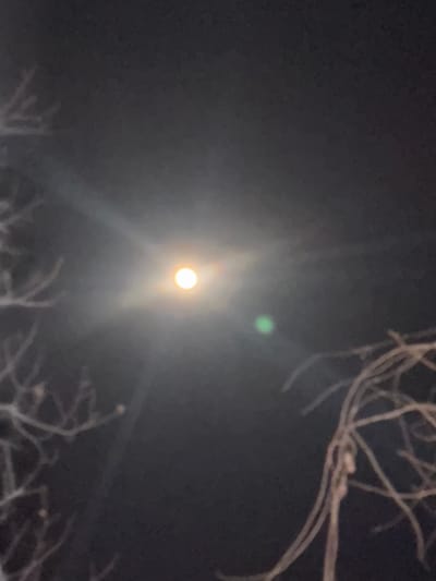 The image shows a night scene with a bright celestial object, likely the moon, illuminating the surrounding area. The lower portion of the frame contains blurred, silhouetted tree branches, some appearing bare. The sky is dark, and the intense light of the object creates a significant lens flare and a hazy glow. There is a green dot to the object's upper right side.
No people, specific objects beyond the moon and tree branches, or actions/interactions are identifiable from this image. No specific location details in Lehvaz, Armenia, can be ascertained beyond the likely outdoor setting.