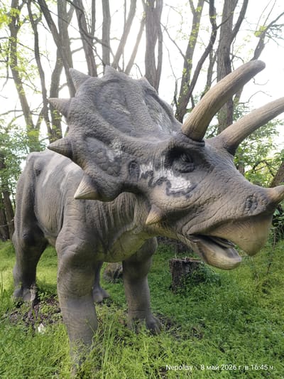 The image depicts a life-size model of a Triceratops dinosaur standing in a grassy area surrounded by trees. The model appears to be made of a composite material, with textured skin and prominent horns and frill. The location is likely a park or outdoor exhibit in Chlumec nad Cidlinou, Czechia. The setting is a mix of grass and woodland. There are no people visible in the image. The camera is positioned low, giving the dinosaur a dominant presence in the frame. A stump can be seen behind the dinosaur.