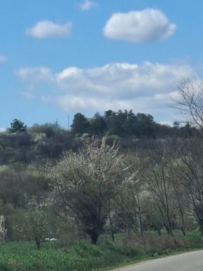 The image depicts a landscape featuring a blue sky with scattered clouds in the left portion of the frame. A line of trees and greenery extends across the right side, with a mix of bare and leafed trees. The scene appears to be taken from a roadside view, as a paved surface is visible on the extreme right. Electrical poles are visible along the horizon. The image does not contain enough information to identify any specific subjects, objects, actions, interactions, and the environment in the city of Studeno Buche, Bulgaria.