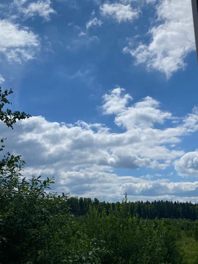 The media file captures a serene, natural scene with a focus on the sky and surrounding vegetation. The primary subjects are the vast blue sky filled with dynamic white clouds, and the lush green foliage of trees and bushes. The scene is set outdoors, likely in a rural or natural environment, given the presence of dense trees forming a distant treeline and the close-up view of bushes in the foreground.
The activity depicted is passive observation of nature. The image is oriented vertically, suggesting the photographer was looking upwards. The time of day appears to be daytime, judging by the bright blue sky and the illumination of the clouds. The weather seems pleasant, with a mix of sun and clouds, characteristic of a fair summer day. There are no people or specific man-made objects visible, emphasizing the natural elements. The emotions evoked are likely calmness and appreciation for the natural beauty of the landscape.
Notable details include the varied shapes and textures of the clouds, from wispy cirrus formations to more dense cumulus clouds. The contrast between the bright white of the clouds and the deep blue of the sky is striking. The green foliage appears healthy and vibrant, with sunlight dappling through the leaves. The distant treeline suggests a forest or a wooded area, adding depth to the scene.
There is no visible text in the media file. The location context of Selyatino, Russia, provides a geographical anchor but does not offer specific visual cues within the image itself, beyond the general appearance of northern European vegetation and sky conditions.