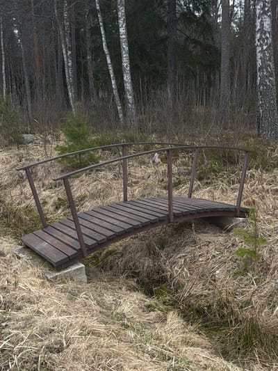 A wooden footbridge spans a ditch in a natural setting. The bridge has a dark wooden plank surface with a metal frame and supports. The ditch is surrounded by dry, light-brown grass. A forest with bare trees and some birch trees is visible in the background. The specific location in the city of Glubokoe, Russia, cannot be definitively determined from this image alone.