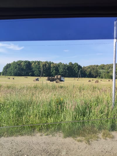This is a photograph taken from inside a vehicle, looking out at a rural landscape. The foreground is dominated by a dense field of tall green grass and some dirt. A thin wire runs horizontally across the image, slightly above the center. In the middle ground, a mown field is dotted with numerous round hay bales. A small tractor and a trailer loaded with hay bales are visible in the field. Further in the background, a line of dense green trees forms the horizon, with a few utility poles interspersed. The sky above is a clear blue with some wispy white clouds. The scene is consistent with agricultural activity, likely the harvesting and baling of hay. The location is identified as Vas'kino, Russia.