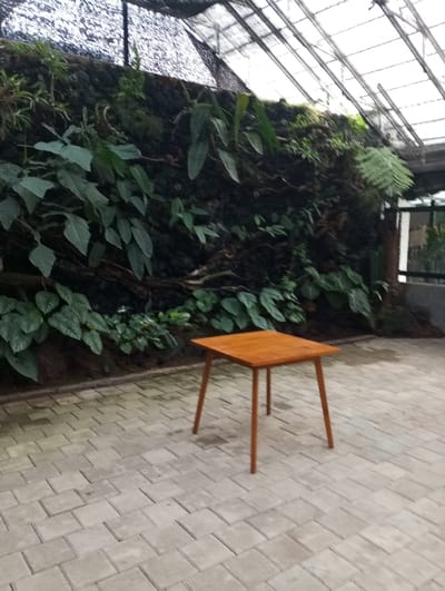 The scene is an interior or semi-enclosed area located in Cibadak, Indonesia. A prominent vertical garden serves as the background, featuring a dark, textured wall surface densely covered with various green plants, including large-leafed species, ferns, and trailing foliage. Above the vertical garden, a roof composed of translucent or transparent corrugated panels supported by a metal framework is visible, with a portion covered by a black mesh or netting. The floor is paved with light-colored, rectangular concrete pavers laid in a repeating pattern. Centrally positioned in the foreground is a small, square-topped table constructed from light brown wood, resting on four slender, angled legs. No individuals are present, and no actions or interactions are depicted.