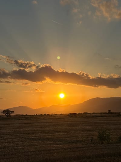 This is a vertical, medium-shot, eye-level photograph capturing a dramatic sunset over a rural landscape in Blatets, Bulgaria. The primary subject is the brilliant, glowing sun, positioned slightly to the right of the frame's vertical center. It emits strong rays of light that pierce through a dramatic, elongated cloud formation running vertically through the middle of the image. The sky transitions from a pale, hazy blue on the left to a warm, fiery orange and yellow on the right, indicating sunset.
To the left of the sun, a faint contrail streaks across the sky. A subtle, circular green lens flare is visible in the upper left quadrant. To the right of the sun, a mountain range forms a silhouetted backdrop, its slopes bathed in the warm sunset light. In the foreground, on the right side of the image, is a harvested field, its rows clearly defined and appearing dark and textured. A lone, silhouetted tree stands in the field near the bottom right, adding a touch of natural element to the agricultural scene. A distant vehicle and some sparse vegetation are visible along the edge of the field, near the base of the mountains.
The time of day is unequivocally sunset, evidenced by the vibrant colors in the sky and the low angle of the sun. The weather appears to be clear with some dramatic cloud formations. The scene evokes a sense of peace and the grandeur of nature. There is no visible text in the image.