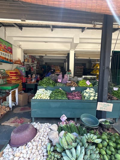 An open-front market stall in Matara, Sri Lanka, teems with fresh produce on a bright day. The scene is captured looking into the stall from under a covered area, with a metal roll-up door visible to the left.
On the right side of the image, large quantities of green bananas or plantains are piled high on a green wooden display, alongside smaller, round green fruits, possibly raw mangoes. Below these, bundles of green onions or scallions are arranged next to a substantial heap of white garlic bulbs, upon which a dark purple plastic bowl rests.
In the center, various fresh vegetables are displayed on another green wooden stall. These include green leafy vegetables, white cauliflower, long purple eggplants (brinjals), green beans, bright green chilies or peppers, and white cucumbers or gourds. Further inside the shop, a person with dark hair, wearing a purple top, is seen near a weighing scale, with another individual visible deeper within the store. The interior reveals shelves stocked with various packaged goods, suggesting a combined grocery and produce establishment.
The activity centers around the sale of fresh fruits and vegetables. The market stall appears active, with products neatly arranged for customers.
Several price tags are visible, providing notable details:
* "500g 100/-" on green leafy vegetables.
* "250g 90/-" on green chilies/peppers.
* "250g 80/-" on purple eggplants.
* "500g 240/-" on green onions/scallions.
* A cardboard sign displays "ඉඟුරු කිලෝ 164/-", which translates to "Ginger kilo 164/-".
* Another tag shows "250g 90/-" on the white cucumbers/gourds.
* A partially visible tag on green beans indicates "250g 120/-".
The prices likely refer to Sri Lankan Rupees (LKR). The overall setting conveys a bustling local market atmosphere.