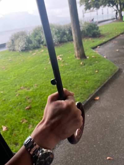 The image depicts a first-person perspective on an overcast day along the shore of Lake Geneva in Vevey, Switzerland. In the immediate foreground, a right hand, with light skin tone, is gripping the dark brown, curved handle of an open black umbrella, its central shaft extending upwards. A silver-toned wristwatch with a dark circular face and a metallic link bracelet is worn on the wrist. The midground features a vibrant green lawn with scattered brown leaves, bordered on the right by a wet, dark gray paved pathway. A tree trunk stands on the right side of the lawn. In the background, beyond a line of dense green bushes, the calm waters of Lake Geneva are visible under a hazy or overcast sky, with distant mountains faintly discernible on the horizon. Several light-colored sunshades or umbrellas and indistinct human figures are present along the lakeside promenade.