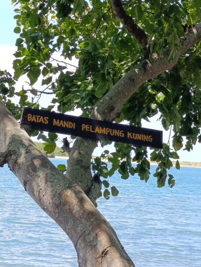 A sign attached to a tree trunk reads "BATAS MANDI PELAMPUNG KUNING" in yellow letters. The sign is located at a beach by the water's edge, which is light blue in color. The tree's trunk is thick and brown, with some patches of light gray lichen. The tree has many green leaves and branches reaching up to the sky, obscuring a portion of the water. The surrounding environment is a beach in the location of Kecamatan Banyuputih, Indonesia, with coordinates -7.756 latitude and 114.374 longitude. There are no people or other subjects in the image.