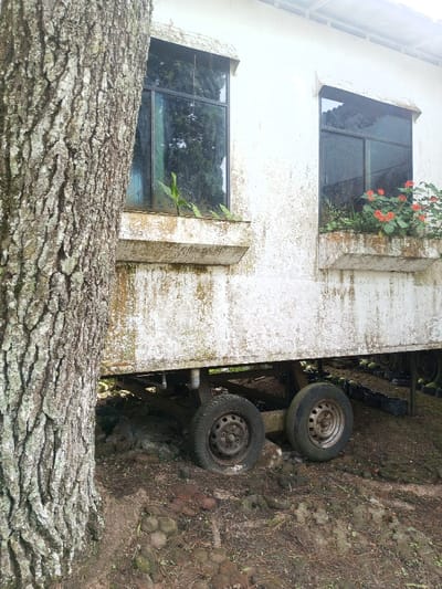 An old, white mobile home sits near a tree. The structure has two windows, each with a built-in flower box below. Plants grow in the boxes, with red flowers visible in one. The home is mounted on a trailer with black wheels. The paint is peeling and the siding shows signs of aging. The ground is covered in dirt, leaves, and some mossy stone. The tree trunk is thick and textured.
