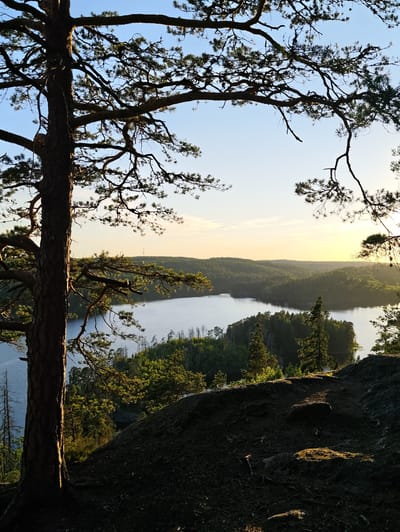 A telephoto, eye-level, outdoor shot captures a serene sunset scene overlooking a lake in Skriketorp, Sweden. In the foreground, a large pine tree trunk stands silhouetted against the bright sky, its branches reaching out to frame the vista. The middle ground is dominated by a tranquil lake, its surface reflecting the warm hues of the setting sun. The lake is surrounded by rolling hills covered in dense, green forests. The sky is a gradient of soft blues and yellows, with the sun just dipping below the horizon, casting a golden glow over the landscape. The overall impression is one of peace and natural beauty.