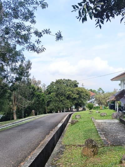 A winding asphalt road cuts through a lush landscape under a partly cloudy sky. The road is bordered by a concrete drainage ditch on one side and a grassy area with scattered rocks on the other. Trees line the background, and buildings with tiled roofs are visible in the distance on the right. Branches and leaves frame the top of the image.