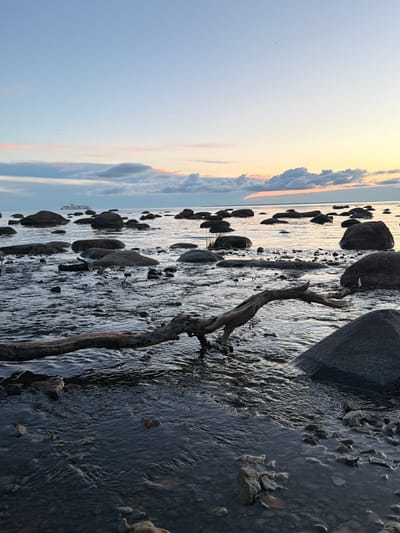 The image depicts a rocky shoreline at dusk in Haabneeme alevik, Estonia. The sky is a gradient of pale blue to soft yellow and pink hues, with scattered clouds. In the distance, a ferry is visible on the calm water. The foreground is dominated by dark, smooth rocks partially submerged in shallow water, with a fallen tree branch creating a diagonal line across the scene. The water is dark and rippling, reflecting the twilight sky. There are no people or animals visible in the image. The environment suggests a natural coastal landscape during a quiet evening.