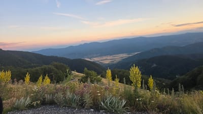 The image depicts a scenic overlook at dusk, likely near Hristo Danovo, Bulgaria, with layers of rolling hills and mountains stretching into the distance. In the foreground, a cluster of wildflowers, including tall yellow stalks and smaller purple and white blooms, grows along the edge of a gravel surface. The sky transitions from a pale blue at the top to soft hues of pink and orange near the horizon, with a few wispy clouds visible. The middle ground is dominated by dark, forested slopes, with a lighter, cultivated valley visible between the hills in the distance. The overall atmosphere is tranquil and natural.