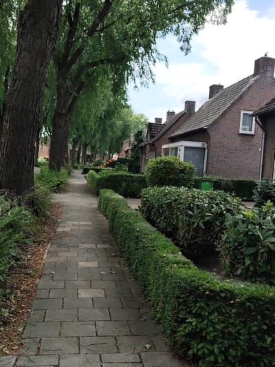 This image depicts a quiet suburban street scene in Schaijk, Netherlands. The foreground is dominated by a paved walkway lined with meticulously trimmed green hedges. Tall trees with lush green foliage tower over the walkway, casting dappled shadows and creating a sense of enclosure.

Beyond the hedges, brick houses with tiled roofs are visible, characteristic of Dutch architecture. One house features a prominent chimney and a white-framed window. The sky above is partly cloudy, with patches of blue peeking through. In the distance, more trees and houses can be seen, suggesting a residential neighborhood. Orange pennant banners are strung between some of the houses, hinting at a festive occasion or national celebration.

The scene appears tranquil and serene, likely captured during the daytime. The lighting suggests it could be late morning or early afternoon. There are no people or specific activities depicted, emphasizing the peaceful atmosphere of the location. The overall impression is one of a well-maintained and pleasant residential area.