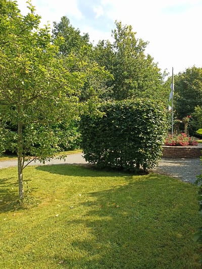 The image depicts a sunlit garden scene with a variety of greenery. In the foreground, a lush green lawn is illuminated by sunlight, casting dappled shadows from unseen trees. To the left, a slender tree with vibrant green leaves stands prominently, its trunk textured and light brown. Adjacent to the tree is a large, neatly trimmed dark green hedge, forming a dense, rectangular shape.
Behind the hedge, a gravel pathway is visible, leading into the background where more trees with dense foliage create a shaded backdrop. A stone-built planter box filled with bright pink flowers adds a splash of color. A flagpole with a green and white flag stands to the right of the flowers. The sky above is a pale blue with scattered white clouds. The scene is serene and appears to be well-maintained. There is no indication that this image was taken in Dungloe, Ireland.