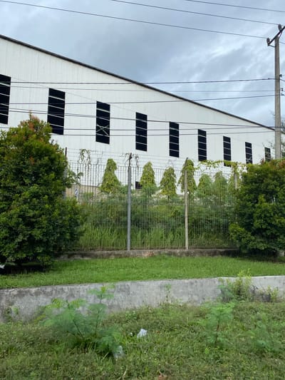 The image depicts the exterior of a white, corrugated metal building with numerous dark-framed windows. The building appears to be industrial or commercial. To the right of the building, a chain-link fence runs horizontally, separating the property from an adjacent area with overgrown grass and a concrete pathway. Vines are growing along the fence, creating a somewhat wild and unkempt appearance. Lush green trees and bushes are visible in front of the building and along the fence line. Overhead, power lines stretch across the frame, supported by utility poles. The sky is overcast with dark, heavy clouds, suggesting a cloudy or possibly rainy day. The scene appears to be set in a semi-urban or rural area, with the building suggesting industrial activity and the surrounding vegetation indicating a less manicured environment. The overall mood is somewhat subdued due to the weather. There is no visible text in the image.