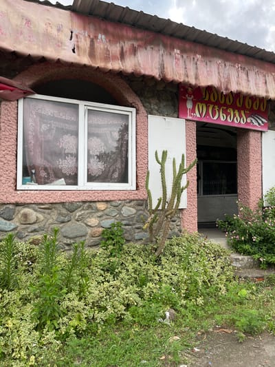 The image captures the exterior of a pink, stucco-covered building with a stone foundation in ღრმაღელის თემი, Georgia. The building has an arched entrance with a scalloped awning made of a faded pink fabric that is peeling and weathered. To the left of the entrance, there is a large window with white framing, covered by patterned lace curtains. Above the entrance, a pink sign with yellow lettering and images of fish is displayed, suggesting it might be a shop or restaurant. A tall, thin cactus stands in front of the building to the right of the window. Lush green vegetation, including plants with variegated leaves and some flowering bushes with small pink and white blossoms, surrounds the base of the building. The ground in front appears to be a mix of grass, dirt, and some scattered debris. The sky is overcast, indicating cloudy weather.