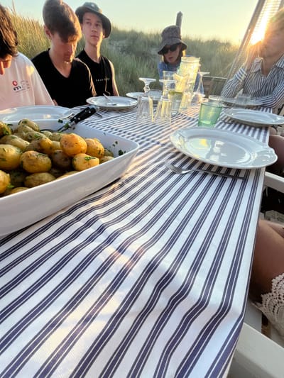 An outdoor dining scene unfolds during the golden hour in a sandy dune environment, indicative of a coastal area such as Skagen, Denmark. A rectangular table, covered with a white and blue striped tablecloth, is set for a meal.

Four individuals are partially visible seated around the table. On the left, a person with dark hair, wearing a light-colored t-shirt with a graphic, looks down towards the table. Next to them, a young male with short brown hair, dressed in a black t-shirt, also looks downwards. To his right, another young male in a dark bucket hat and black t-shirt looks forward, away from the table. Further right, a person in a patterned bucket hat and sunglasses looks towards the table. The rightmost visible person, only partially seen, wears a light blue and white striped shirt, with the setting sun creating a strong backlight and lens flare on their hair and shoulder.

The table is prepared with multiple white plates, some appearing empty, along with forks and various types of drinking glasses, including stemmed glasses and a green glass. A large white rectangular serving dish, positioned prominently in the foreground, contains boiled new potatoes garnished with chopped green herbs, likely chives or parsley. A dark-handled serving utensil is placed in the dish. Sunlight reflects off the glassware and the glossy surface of the potatoes. In the background, tall sand dunes with sparse, dry grass are visible. To the far right, a vertical outdoor heating lamp or light fixture is present. The overall lighting suggests late afternoon or early evening, characterized by warm, soft light and elongated shadows.