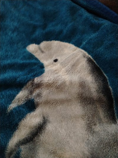 A close-up, blurred shot captures a fluffy blanket with a dolphin design. The dolphin is depicted in shades of gray and white, with a dark eye. The background of the blanket is a deep teal blue, mimicking water. The texture of the blanket appears soft and plush. The image does not contain any information about the city of Molodiia, Ukraine.