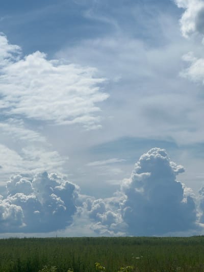 This is a vertical, eye-level, medium shot of a vast, cloudy sky over a green field. The sky is filled with large, white cumulus clouds, some of which appear to be towering cumulonimbus. The lower portion of the image shows a dense green field of grass and wildflowers. The scene is set in Бучацінскі сельскі Савет, Belarus. There are no people or animals visible. The overall impression is one of a natural landscape under a dynamic sky.