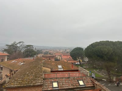 The image displays an elevated view of a residential area in Sinalunga, Italy, under a uniformly overcast, light gray sky. The foreground features numerous reddish-brown terracotta tiled roofs, many covered with moss or lichen. Several skylights are present on these roofs. A weathered, red-orange balustrade on a building's terrace occupies the mid-right foreground.
The midground consists of a dense arrangement of buildings with tiled roofs and stuccoed walls, interspersed with mature trees. On the right, large, dense evergreen trees partially obscure a public park containing playground equipment and paved walkways. A parking area behind the park shows at least one white vehicle and a blue 'P' parking sign. Puddles are visible on paved surfaces.
The background shows additional residential structures extending towards distant, hazy hills. A slender church spire is visible above the distant rooftops in the center-left. In the lower right, two indistinct adult figures are walking on a paved surface near the edge of the park. No other specific actions or interactions are observed.