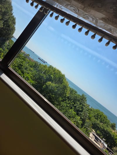 The image shows a view of the sea and cityscape through a window, with a curtain featuring decorative tassels at the top. The window frame is dark wood, and the interior sill is white. Lush green trees dominate the middle ground, with a glimpse of buildings and structures below them. Several ships are visible on the calm blue sea, which extends to the horizon under a clear sky with faint cloud streaks. The angle of the shot suggests it was taken from an elevated position, possibly an apartment or a building overlooking the coast. The scene is tranquil and captures a sunny day. This view is consistent with locations in Avcılar, Turkey, a district known for its coastal setting along the Sea of Marmara, with residential buildings and green spaces often found near the waterfront.