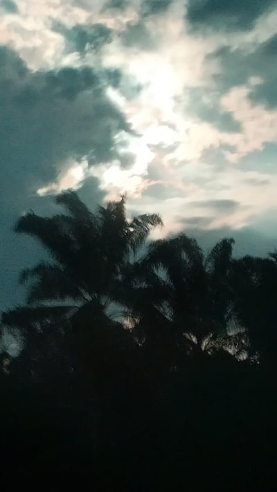 The image depicts a dramatic sky with the sun partially obscured by dark, textured clouds. Patches of bright white light break through the clouds, creating a luminous effect. Silhouetted against this vibrant sky are the fronds of palm trees, their dark forms stark against the light. The lower portion of the image is almost entirely black, suggesting a dense canopy of trees or a very dark foreground. The scene evokes a sense of impending weather or the dramatic light of a sunset or sunrise. This image was taken in Seumadam, Indonesia.