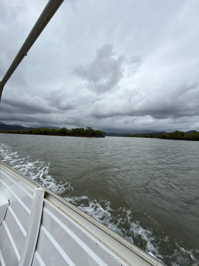 A scene observed from a moving boat in Dumbéa, France, depicts a body of dark green-grey water under a heavily overcast sky. The lower left foreground reveals the light-colored, horizontally paneled hull of the boat, with a grey vertical support beam extending upward from the left edge. A distinct wake of white foam trails alongside the boat, indicating forward motion. The water surface is textured with small ripples. In the mid-distance, a strip of land covered in dense, dark green foliage, consistent with mangroves, spans the horizon. Beyond this, faint, undulating hills or mountains are visible. The sky is dominated by thick, dark grey clouds, providing diffuse, subdued lighting across the landscape. No individuals or additional subjects are present.