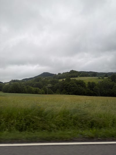 The image captures a panoramic view of a rural landscape under an overcast sky. In the foreground, a blurred stretch of asphalt road with a white line marks the immediate boundary of the scene. Beyond the road, a field of tall, green grass with scattered yellow wildflowers stretches into the midground, appearing windswept and soft-focused due to motion.

The background is dominated by rolling hills covered in dense, dark green trees. The terrain rises gently, with a more pronounced, forested peak visible towards the left. A few scattered buildings or structures appear subtly nestled within the foliage on the hillsides. Utility poles are visible on the right side of the image, indicating the presence of infrastructure. The sky is filled with heavy, gray clouds, suggesting a diffused light or an impending rain. The overall impression is one of natural beauty and tranquility in a countryside setting, likely in Wilkowisko, Poland, given the context. There are no people or animals present in the frame.