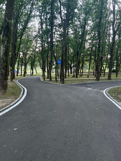 This image depicts a paved pathway in a park area in Dzhebel, Bulgaria. The pathway, likely for cycling or walking, is dark asphalt with white lane markings. It curves and splits, with one section going left and another to the right. Surrounding the path is a dense arrangement of tall trees with green foliage. In the background, beyond the trees, there appears to be more parkland with additional paths and some small structures. A blue sign with a white bicycle symbol is visible on a pole near the split in the path. The lighting suggests it is either early morning or late afternoon. There are no people visible in the image.
