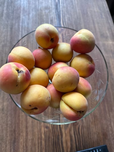 A clear glass bowl filled with ripe apricots is positioned on a wooden surface. The apricots are predominantly yellow with blush of pink and red. The wooden surface appears to be a table with a visible grain pattern. The background is out of focus. There is no indication of the city of Balqaş, Kazakhstan.