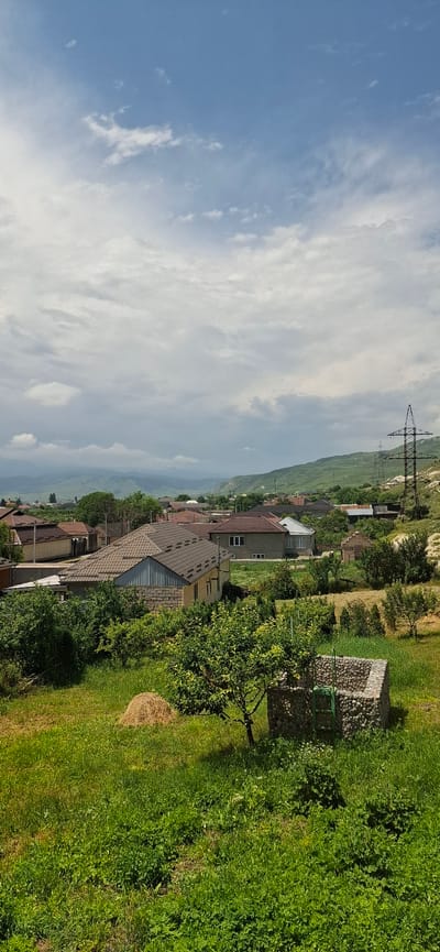 The image captures a rural village scene under a cloudy sky, likely in Sayukovo, Russia. The foreground is dominated by a lush green meadow dotted with various plants and a small, circular hay bale. To the right of the meadow is a stone structure resembling a well, with a green ladder visible inside. Further back, a cluster of houses with tiled roofs forms the village, interspersed with trees and vegetation. In the mid-ground, a prominent house with a gray tiled roof and brick walls stands out. Beyond the village, rolling green hills stretch into the distance, punctuated by power lines and transmission towers. The overall atmosphere is peaceful and pastoral, with a hint of industrial infrastructure in the background.