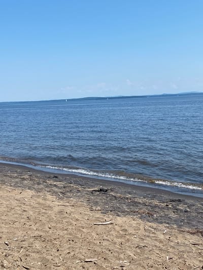 This image depicts a scenic view of a sandy beach bordering a calm body of water under a clear blue sky. The perspective is a low-angle shot, looking out towards the water and horizon from the sandy shore.
The subjects in the image are the natural elements of the scene: the sand of the beach, the water, and the sky. The beach itself is composed of light brown sand with scattered pieces of driftwood and other natural debris. The water is a deep blue, with gentle ripples and a thin line of white foam where it meets the shore, indicating a calm tide. The sky is a vibrant, cloudless blue, suggesting a bright and sunny day. In the distance, faint landmasses or hills can be seen along the horizon, and a few small white sailboat masts are visible on the water.
There is no specific activity or event taking place; the image captures a serene moment in a natural setting. The time of day appears to be daytime, likely mid-morning or afternoon, given the brightness of the sky. The weather seems to be pleasant and clear. The location cues, such as the beach, water, and distant land, suggest a coastal or lakeside environment. There are no visible people, objects, or text in the image. The overall emotion conveyed is one of peace and tranquility.