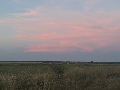 An expansive, low-angle shot captures a rural landscape under a twilight sky. The sky is a gradient of pale blue at the top, transitioning into soft pink and lavender hues due to sunset or sunrise, with wispy clouds diffused across the expanse. In the mid-ground, a flat field stretches to the horizon, dotted with several round hay bales. The foreground is dominated by tall, dry grass, creating a textured, bushy layer. The horizon is a dark, indistinct line, possibly marking a treeline or distant hills. The scene evokes a sense of natural tranquility and the end of a day. The location is identified as Septemvritsi, Bulgaria.