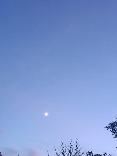 A crescent moon is visible in a clear, pale blue sky above the silhouettes of trees at dusk. The trees are located at the bottom right and bottom left of the frame, with some foliage visible. The overall scene is serene and tranquil. The location is the city of Қызылжар, Kazakhstan.