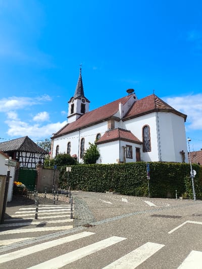 The image captures a daytime street scene in Oberschaeffolsheim, France. The central subject is a church with white stucco walls and a reddish-brown tiled roof. Its prominent bell tower features a dark, pointed spire topped with a cross, a visible clock face, and arched openings. Multiple tall, arched windows with patterned or stained glass are visible along the church's length. A large, circular stork's nest is positioned on the main roofline near the apex.
The church stands behind a tall, dense green hedge that runs along an elevated wall. To the left, a traditional half-timbered house with a dark, multi-pitched roof and a green gate is partially visible. A street sign with text is present near this house.
In the foreground, a paved road displays a marked pedestrian crosswalk with white stripes. Several dark, low-lying bollards are strategically placed along the edge of the crosswalk and a cobblestone section of the road. Further right, the road's asphalt surface contains white painted directional arrows, including a left-turn arrow and a curved arrow. Street light poles are visible on the right side of the image and near the half-timbered house. The sky above is clear blue with sparse white clouds. No people or animals are present in the observable area.