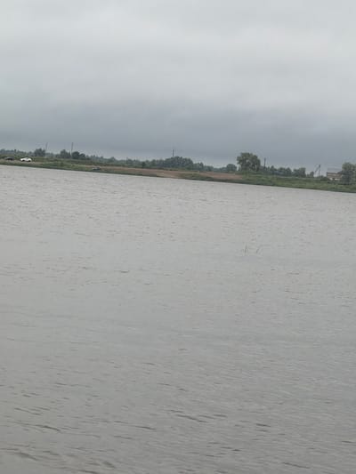 The image shows a body of water with a shoreline in the background under a cloudy sky. The shoreline features a grassy bank, trees, and some man-made structures, including what appear to be utility poles and buildings. There are also a few vehicles visible on the shoreline. The water's surface is rippled, indicating a slight breeze. The overall impression is a calm, overcast day in a semi-rural setting. This scene is consistent with a location along the shore of the village of Azyakul', Russia, known for its natural landscapes and proximity to water bodies.