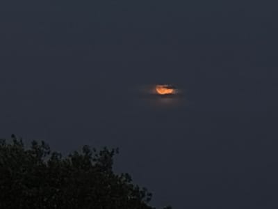 The image captures a nighttime sky over Mülheim an der Ruhr, Germany, with a crescent moon partially obscured by clouds. In the lower left portion of the frame, the dark silhouettes of trees are visible against the dusky sky. The moon, appearing as a vibrant orange crescent, is centrally located in the upper half of the image, peeking through a thin layer of wispy clouds that diffuse its light. The overall atmosphere is serene and somewhat mysterious due to the low light conditions and the subtle illumination of the moon.