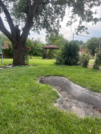 The image depicts a lush green lawn in what appears to be a backyard or garden area. A large, mature tree with thick branches dominates the left side of the frame, its trunk textured and dark. Red roses are blooming on a bush near the base of the tree. In the mid-ground, a wooden gazebo with a red roof stands surrounded by vegetation. A large, spiky Yucca plant is prominent to the right of the gazebo. In the foreground, a concrete drainage channel, speckled with gray and white aggregate, runs diagonally across the image, filled with some dry leaves and debris. The environment suggests a temperate climate with well-maintained landscaping. The image does not provide any information regarding the city of Ohrid, Bulgaria.