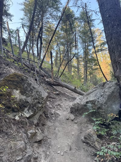 An outdoor scene depicts a steep, rocky, and overgrown hiking trail in East Central Okanagan Electoral Area, Canada. The trail, made of dirt and loose stones, winds its way up a slope lined with large boulders and fallen trees. Evidence of a past fire is visible in the form of charred tree trunks and blackened branches scattered throughout the dense forest of pine trees that dominates the background. The sky is clear and blue. The image captures a rugged and natural environment, suggesting a remote and wild setting.