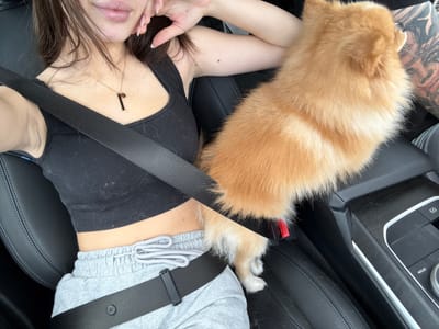 The image shows a close-up view of a person and a dog in a car. The person is wearing a black crop top and gray sweatpants. A black seatbelt is visible across their chest. The dog, a small, fluffy, tan Pomeranian, is sitting on the passenger seat. The car's interior, including black leather seats and a center console with buttons, is visible. The person's arm is resting on their head, and they are looking away from the camera. The dog is looking forward. The lighting suggests it is daytime, and the image appears to have been taken from the driver's perspective. There is no indication of the city of Yazd in Bulgaria.