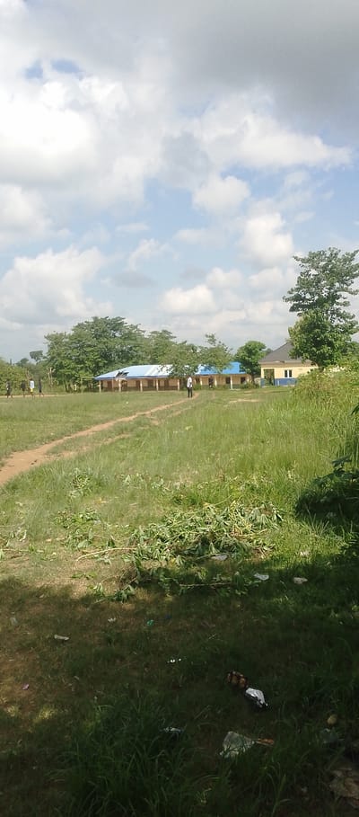 This is a vertical, full-color, outdoor photograph taken on what appears to be a sunny day with scattered clouds. The scene depicts a grassy field with a dirt path winding through it. In the background, there are several low-rise buildings with light-colored walls and blue roofs, suggesting a school or institutional setting. Some trees are visible behind the buildings and to the sides, with one particularly large tree on the right.
Several people are present in the scene. On the left side of the field, a group of four individuals, appearing to be young males, are walking or running. Further to the right, closer to the buildings, another individual, possibly a young man, is standing. The presence of people in what looks like a schoolyard suggests a typical day with activities like walking, playing, or attending classes.
In the foreground, the grass is lush and green, with some fallen branches and leaves scattered on the ground. There is also some visible litter, including plastic wrappers, on the grass. The lighting suggests it is daytime, likely late morning or afternoon, given the shadows. The overall atmosphere of the image is one of everyday life in a possibly rural or semi-urban environment in Nigeria. No text is visible in the image.