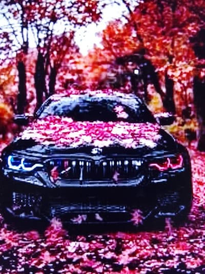 The image depicts a dark-colored sedan, possibly a BMW M5, parked on a street covered with fallen red and pink leaves, suggesting an autumn setting. The car's headlights are illuminated with a bright blue glow, and the taillights have a reddish hue. Trees with red foliage form a blurred backdrop behind the vehicle. There are no people visible in the image. The scene appears to be set in a residential or park area, with the focus solely on the car amidst the autumnal scenery. There is no information or visual evidence in the image to suggest the location is the city of Safonovo, Russia.